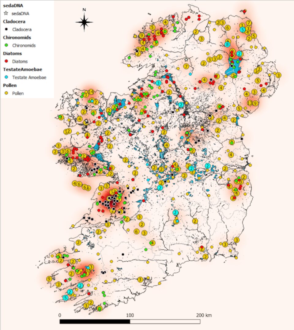 The occurrence of Biological Proxies in Ireland